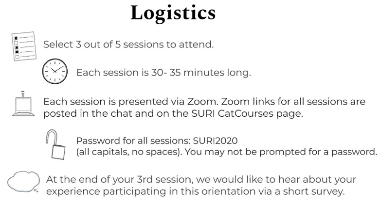 Figure 2. Logistics slide from introductory material.
