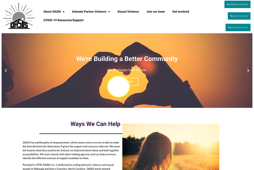 Screenshot of the OASIS homepage.