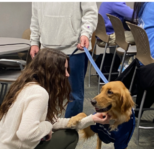 Penn State student interacting with a therapy dog