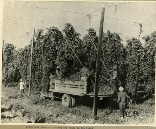 Kim Larsen, undergraduate engagement librarian, and Bekah Olson, engagement and instruction graduate assistant, at an example of the NSO table. Photo Courtesy of Megan York.