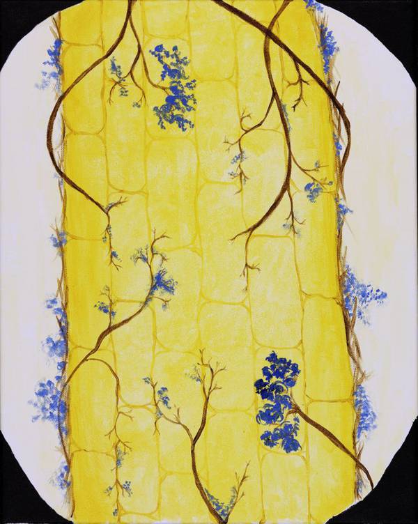 Elegance of science Coordinating an annual scientific art contest at